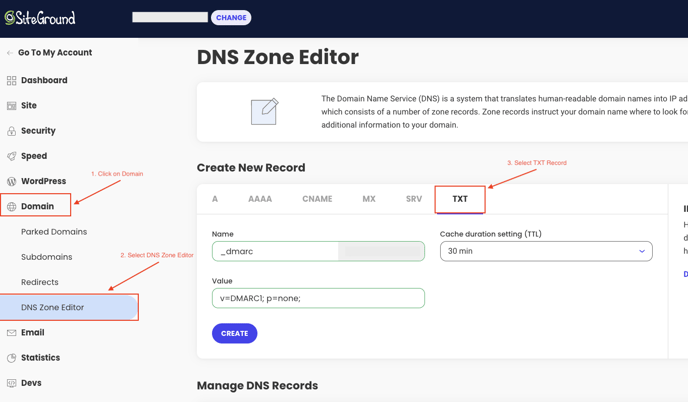 DNS Zone 1-1