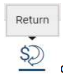 Return icon